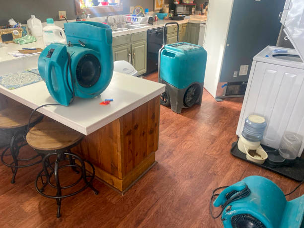 Best Mold removal after water damage  in Lake Kerr, FL
