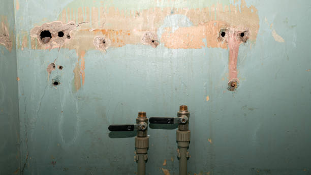 Best Residential water damage restoration  in Lake Kerr, FL