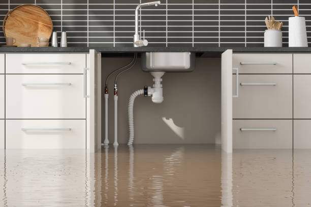  Lake Kerr, FL Water damage restoration Pros