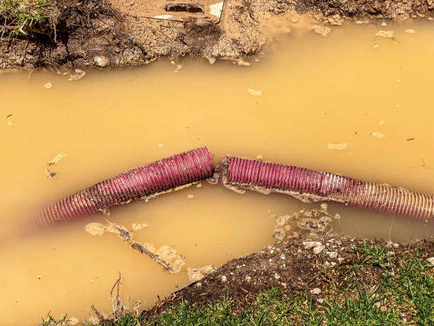 Best Water damage contractors near me  in Lake Kerr, FL